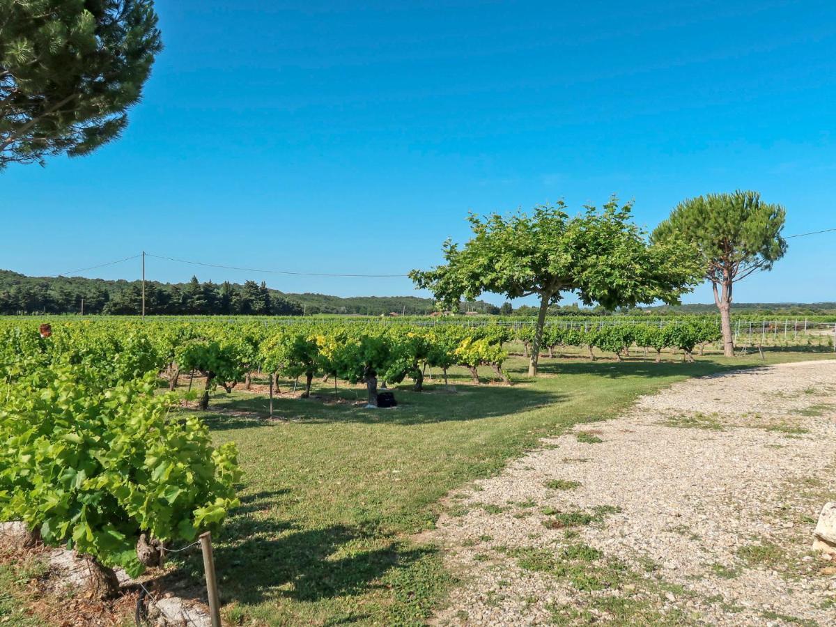 Holiday Home La Cardeline By Interhome Grillon Zewnętrze zdjęcie